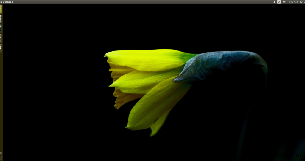 Fresh installation of Ubuntu 16.04 LTS